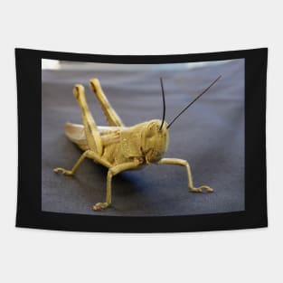 Grasshopper Tapestry