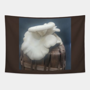 Oyster Mushroom Tapestry