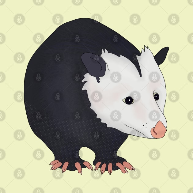 Adorable Opossum by DiegoCarvalho