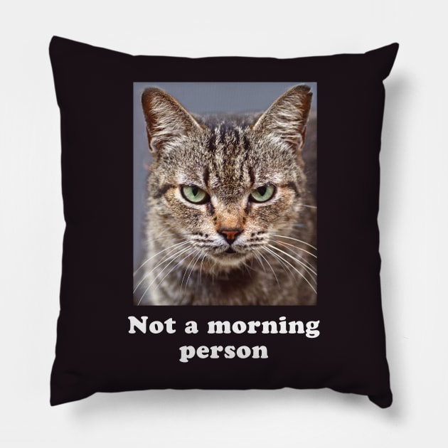 Not a Morning Person Grumpy Kitty for Men & Women Pillow by Pine Hill Goods
