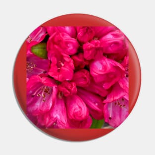 Rhododendron Bloom Pin