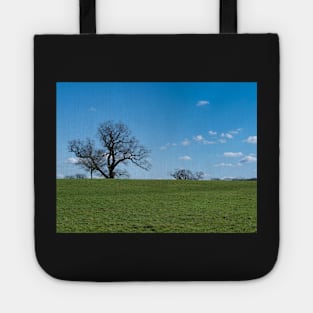 Blue sky, white clouds, winter trees and freshness of the new day. Tote