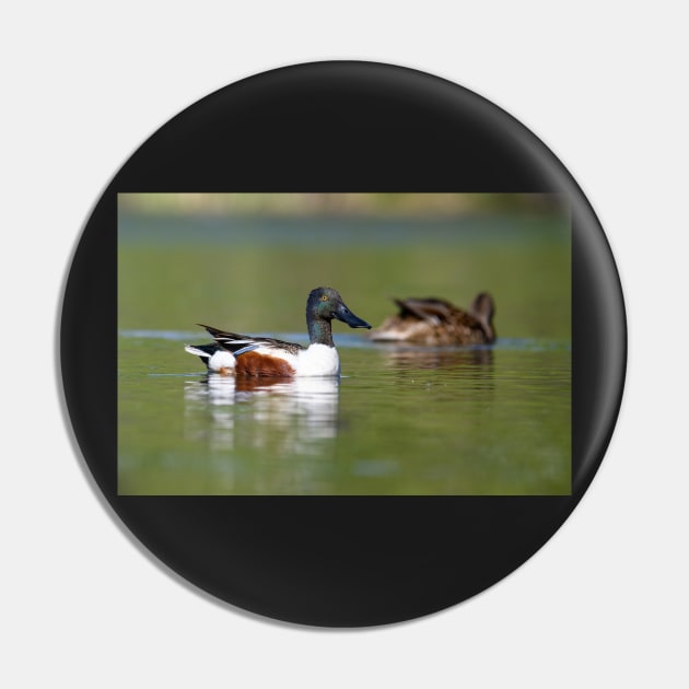 Shoveler Pin by gdb2