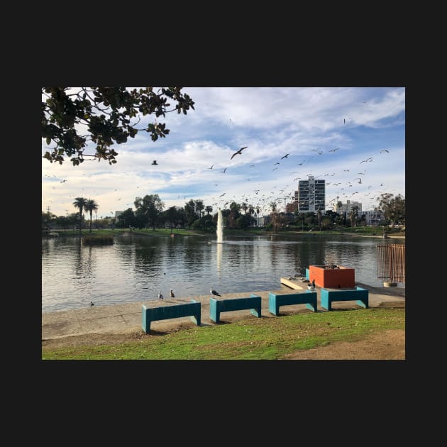 MacArthur Park Afternoon Pond View by offdutyplaces