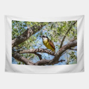 Great Kiskadee in Tree Filtered Light Tapestry