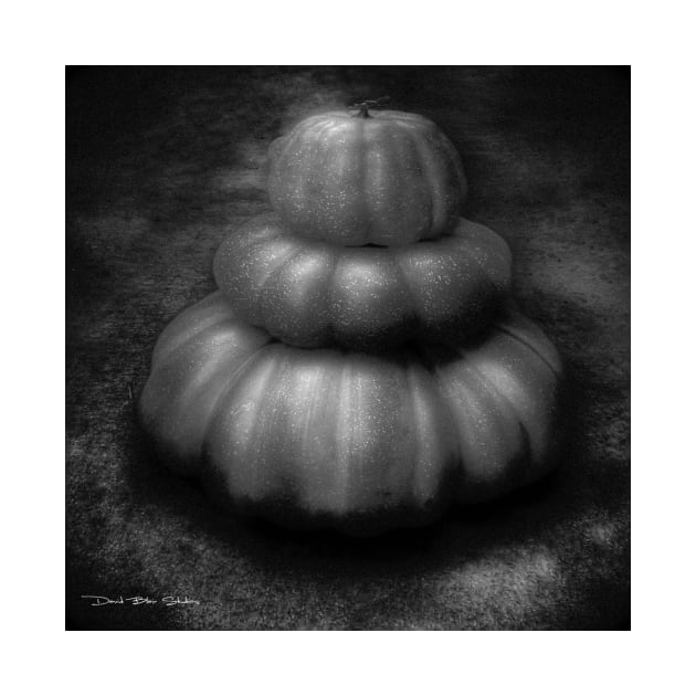 Nice Set Of Gourds - Black and White by davidbstudios