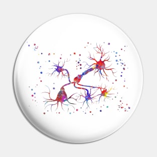 Neurotransmitter release mechanisms Pin