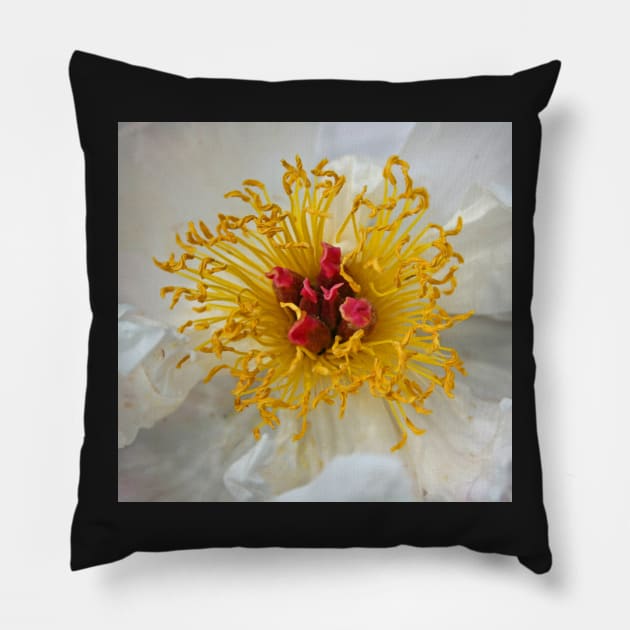 The Secret Life of Plants Pillow by RedHillDigital