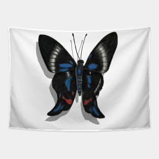 Periander Metalmark Butterfly with Shadow Tapestry