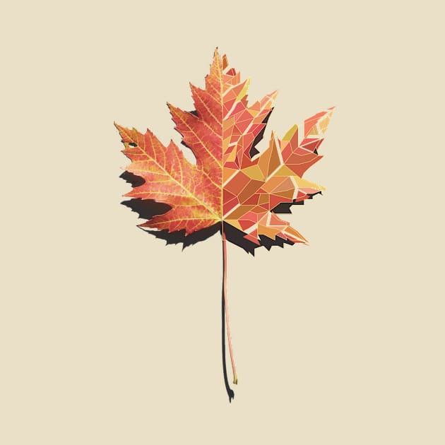 Maple Low Poly Hybrid V2 by bluerockproducts