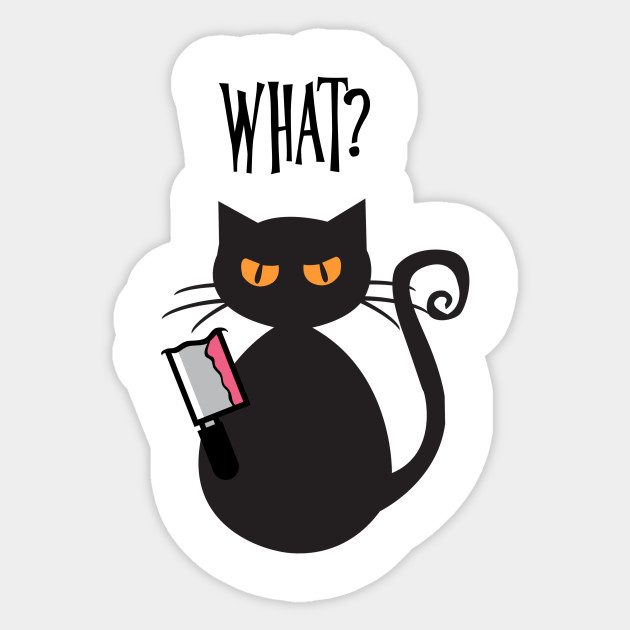 What Cat Funny Cat Tshirt Crazy Cat Lady Trendy Tshirt Cat