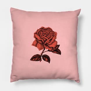 Sad red rose Pillow