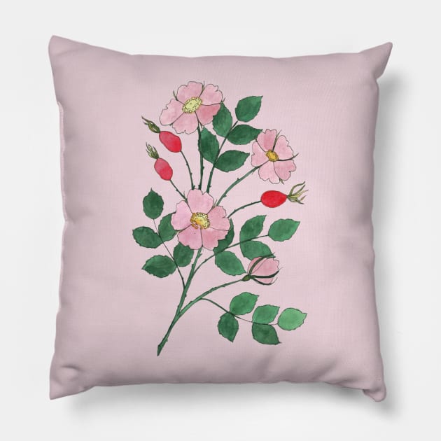 Wild Roses with Rosehips Watercolor Illustration Pillow by Danica Templeton Art