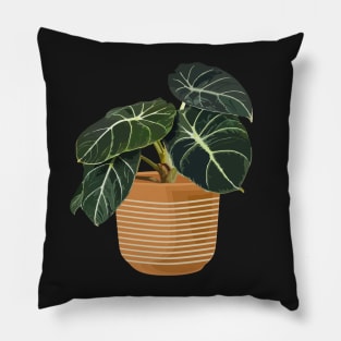 Alocasia black velvet Pillow