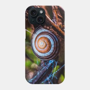 Hanging On. Macro Snail Shell Photograph Phone Case