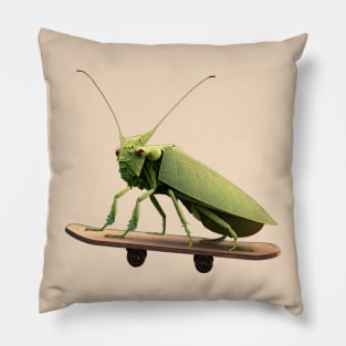 Katydid on a Skateboard Pillow