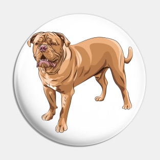 French Mastiff Pin