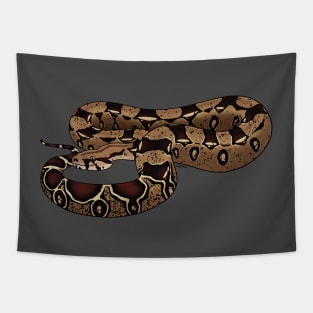 Boa Constrictor Imperator - BCI - Common Boa or Black-tailed Boa Tapestry