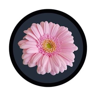 Pale Pink Gerbera Daisy Flower Circle Frame T-Shirt