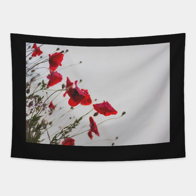 ANZAC Day Red Poppies Tapestry by Felicity-K