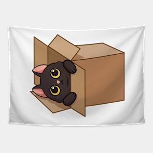 Cat in the box Tapestry