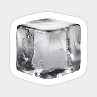 Single Ice Cube Magnet