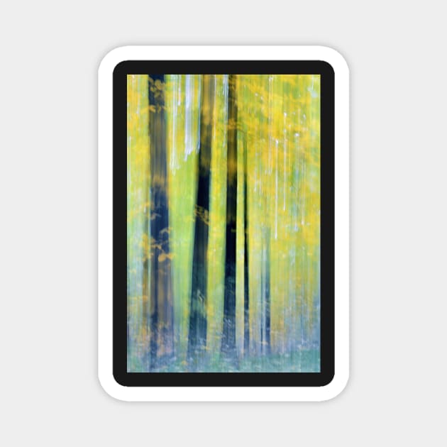 Trees Impressionism Magnet by LaurieMinor