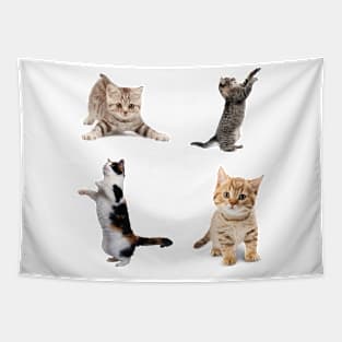 Awesome kitten cat love - cat lover pack Tapestry