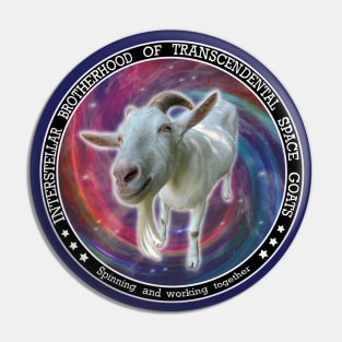 Space Goat Pin