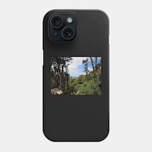 View From Pena National Palace, Sintra, Portugal Phone Case