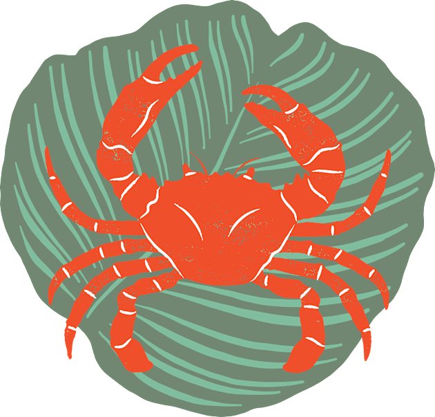 Crab Kids T-Shirt by After Daylight Project