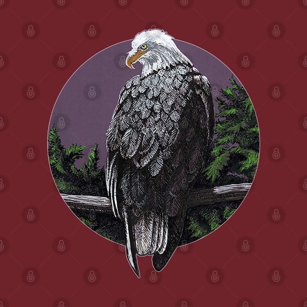 Bald eagle looking over shoulder by tsd-fashion