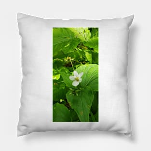 Small white flower on the forest floor Pillow