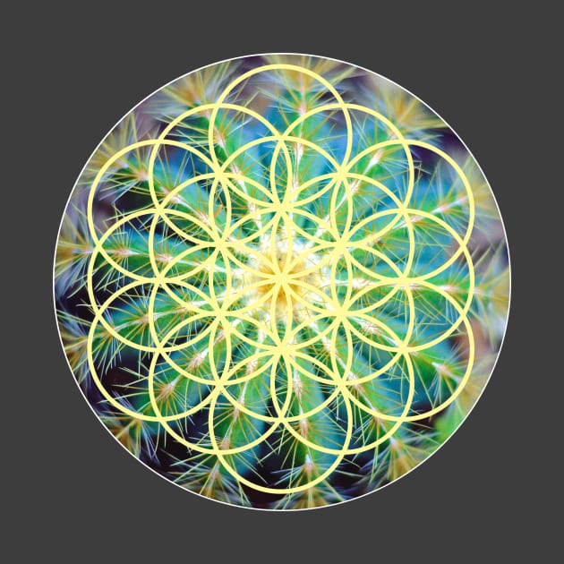 Sacred geometry by munchi