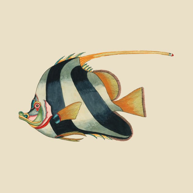 Fish by Louis Renard by Arevalo Design