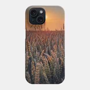 summer sun above the wheat field Phone Case
