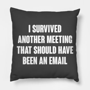 I Survived Another Meeting That Should Have Been An Email Pillow