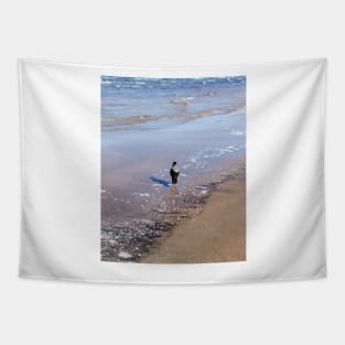 Grey crow walking in sea water near seacoast Tapestry