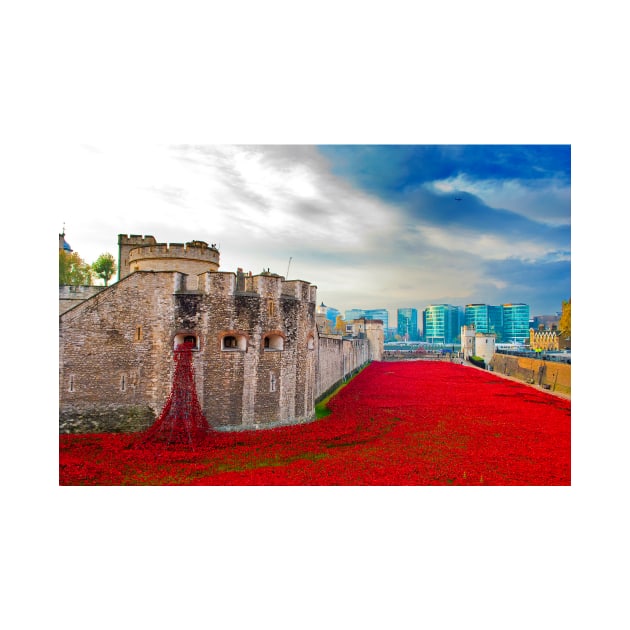 Tower of London Red Poppies by AndyEvansPhotos