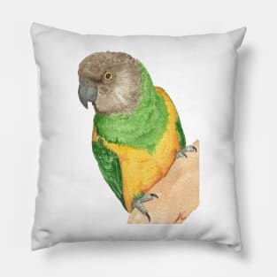 senegal parrot watercolor portrait painting of bird Pillow