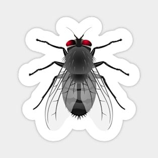 Ugly Fly Magnet