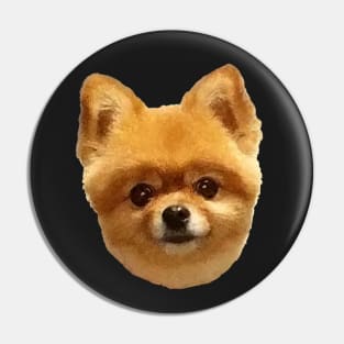 Pomeranian 2 - black background Pin