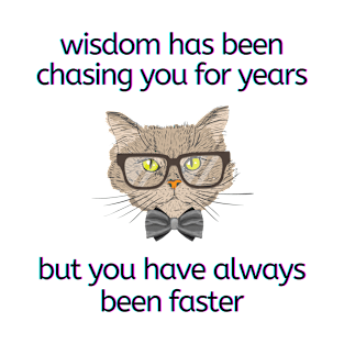 Cat Wisdom T-Shirt