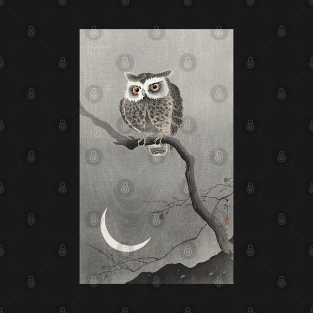 Night Owl by Silly Stuff