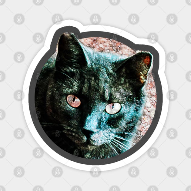 Feline Magnet by RoxanneG