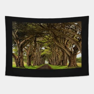 Point Reyes Cypress Tunnel Tapestry