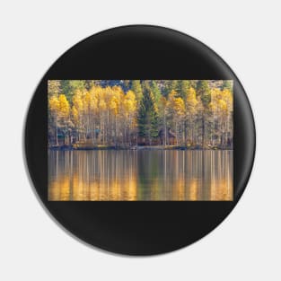 Silver Lake Reflections 2 Pin