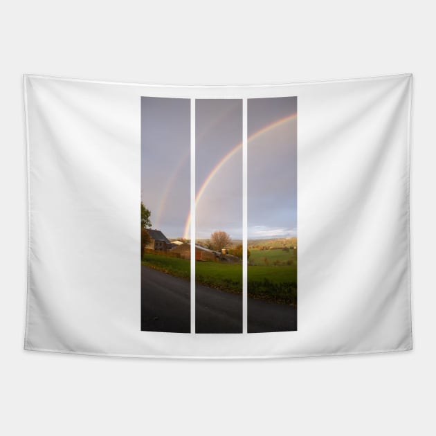 Herve, Belgium - Double rainbow in the Liege Province. Autumn rainy day. (vertical) Tapestry by fabbroni-art