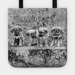 Puppies Tote