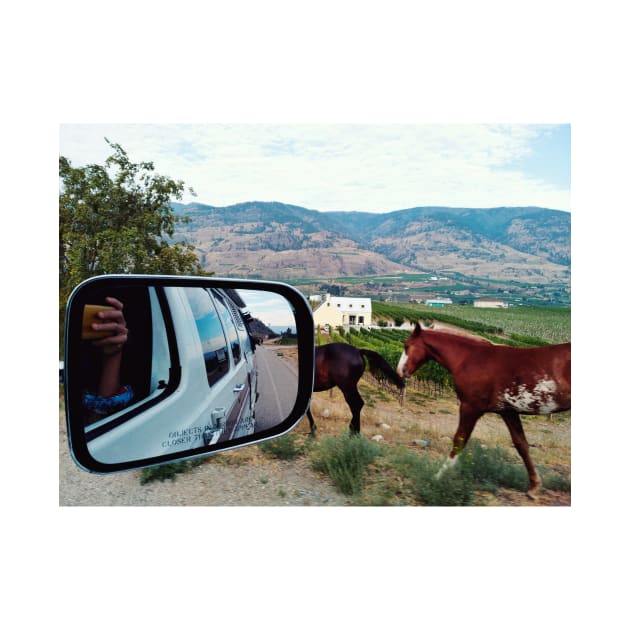 Van road trip journey in South Okanagan valley, British Columbia, Canada. by Nalidsa